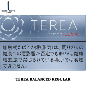 TEREA BALANCED REGULAR JAPAN