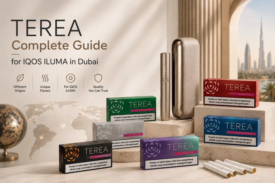 TEREA complete guide for IQOS ILUMA in Dubai featuring TEREA tobacco packs and IQOS ILUMA device.
