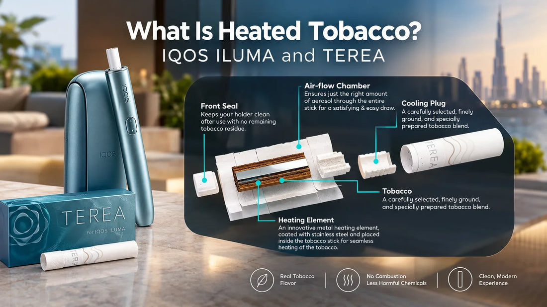 What Is Heated Tobacco? IQOS ILUMA and TEREA Explained
